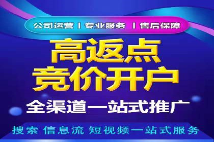低成本高回报：百度竞价代理成功案例分析